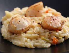 Noix de saint jacques et risotto d'avoine aux baies de sil-timur