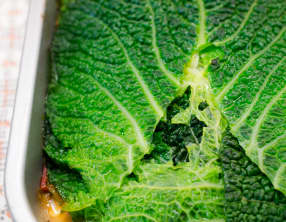 Lasagnes de feuilles de chou au ragù bolognese