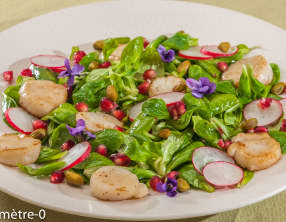Salade de saint jacques aux pistaches et à la grenade