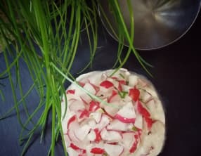 Dôme de radis au saumon fumé et carrés frais
