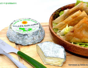 Samossas de légumes et Selles-sur-Cher