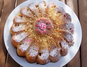 Moelleux aux abricots