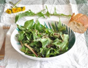 Salade de pissenlit