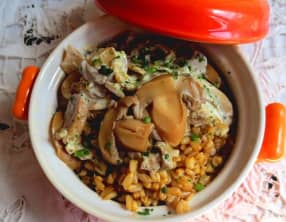 Gruau de Sarrasin aux Cèpes