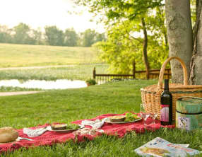 Comment organiser un pique-nique ?
