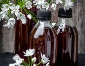 Sirop de bourgeons de pin