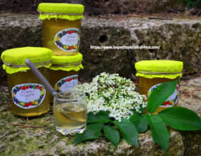 Gelée de fleurs de sureau noir