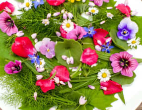 Salade sauvage aux fleurs comestibles