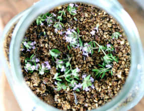 Gomasio aux fleurs de thym