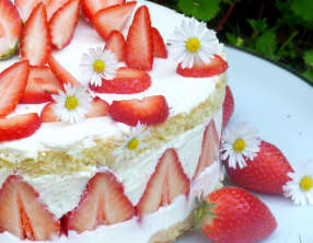 Fraisier léger au fromage blanc