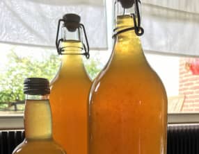 Thé glacé citron gingembre