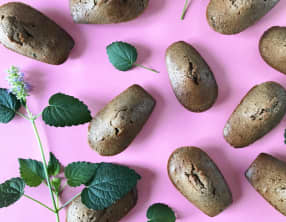 Madeleines à l'agastache