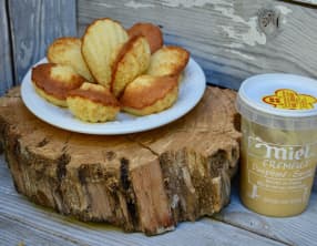 Madeleines au miel