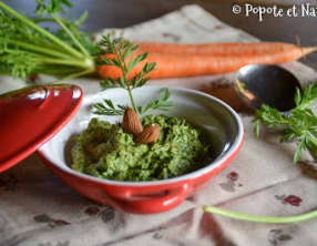 Pesto de fanes de jeunes carottes