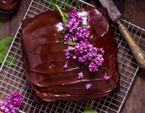 Gâteau au chocolat facile et moelleux