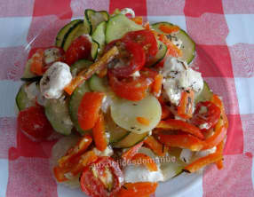 Escalope de poulet aux légumes, sauce roquefort