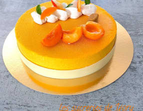 Entremets chocolat blanc-abricots