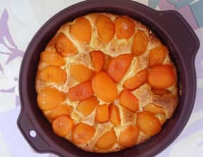 Gâteau aux abricots à la ricotta