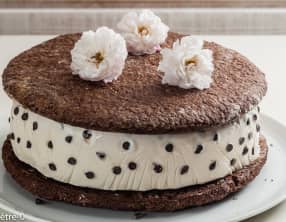 Torta biscotto gelato