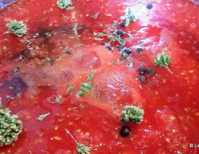 Sauce tomates maison aux épicés et à l'origan sauvage