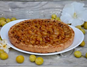 Tarte aux mirabelles