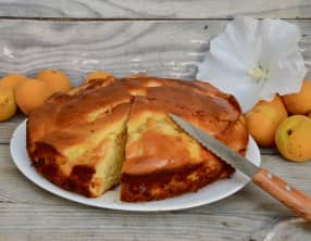 Gâteau aux abricots