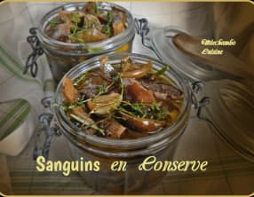 Sanguins à l'huile d'olive