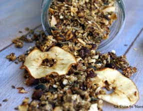 Granola noisettes, pommes séchées et petites graines