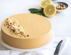 Entremets praliné et citron