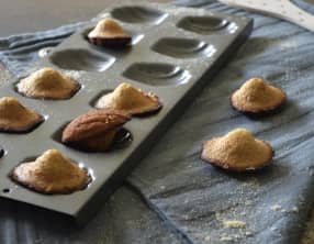 Mes petites madeleines