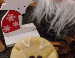 Bredele renards des neiges