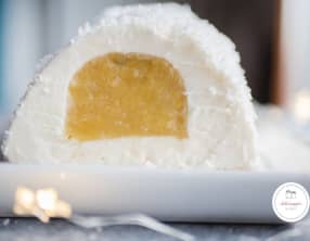 Bûche exotique coco ananas