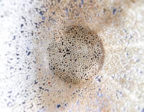 Galettes d’amarante