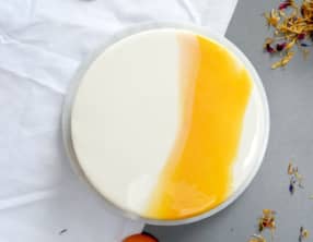 Entremets abricot et pistache