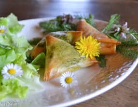 Samossas au chèvre et au pesto d'ail des ours maison