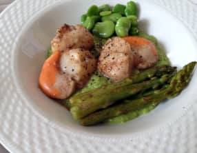 Coquilles saint jacques sur crème de petits pois, fèves et asperges