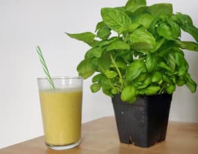 Smoothie ananas-mangue basilic