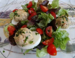 Oeufs au thon, allégés