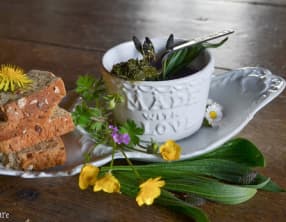 Pesto de plantain lancéolé