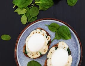 Tartines à la florentine