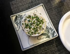 Fromage végétal de graines de tournesol