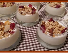 Panna Cotta Opalys Vanille