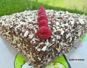 Gâteau chocolat mousse framboise