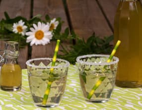 Sirop de menthe maison