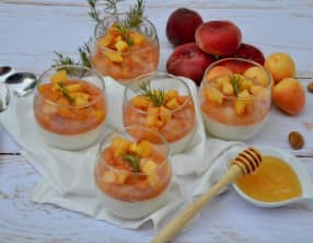Pannacotta pêches, abricots et romarin