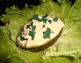 Avocat farci au thon mayonnaise