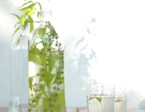 Eau rafraichissante maison