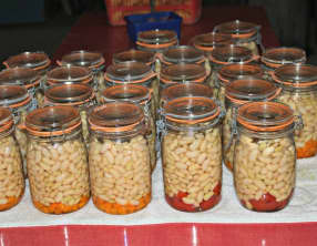 Haricots blancs en conserves