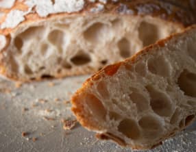 Pain de campagne tigré au levain