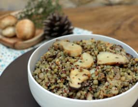 Salade de lentilles et quinoa aux cèpes
